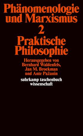 Pazanin / Pažanin / Waldenfels |  Phänomenologie und Marxismus | Buch |  Sack Fachmedien