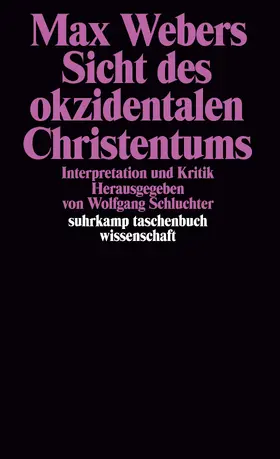 Schluchter |  Max Webers Sicht des okzidentalen Christentums | Buch |  Sack Fachmedien