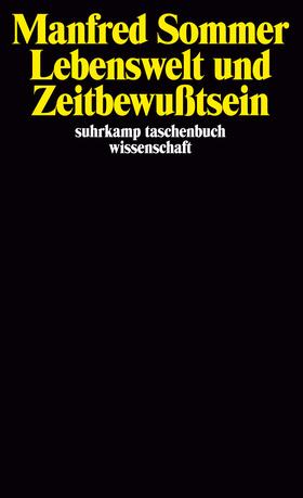 Sommer | Lebenswelt und Zeitbewußtsein | Buch | 978-3-518-28451-3 | sack.de