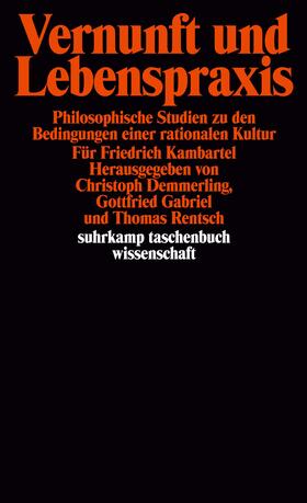 Rentsch / Demmerling / Gabriel | Vernunft und Lebenspraxis | Buch | 978-3-518-28806-1 | sack.de