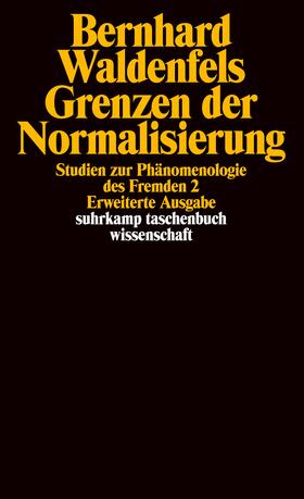 Waldenfels |  Grenzen der Normalisierung | Buch |  Sack Fachmedien
