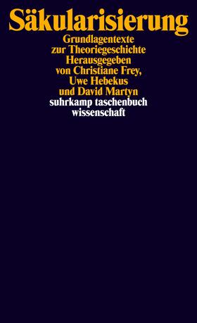 Frey / Hebekus / Martyn |  Säkularisierung | Buch |  Sack Fachmedien