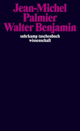 Palmier / Perrier |  Walter Benjamin | Buch |  Sack Fachmedien