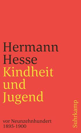 Hesse / Kirchhoff |  Kindheit und Jugend vor Neunzehnhundert 2 | Buch |  Sack Fachmedien