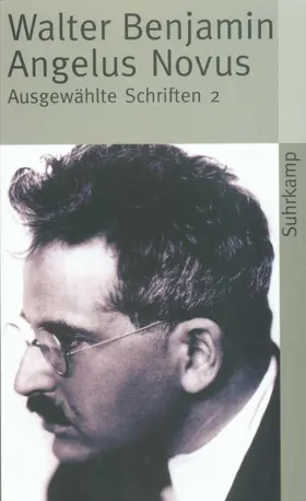 Benjamin |  Angelus Novus | Buch |  Sack Fachmedien