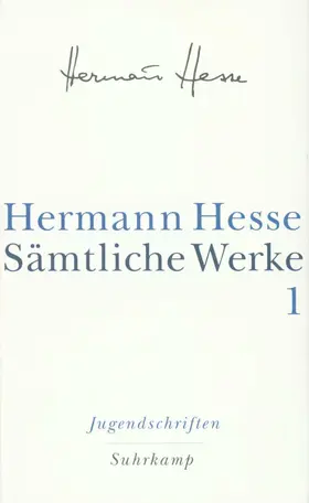 Hesse / Michels |  Jugendschriften | Buch |  Sack Fachmedien