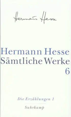 Hesse / Michels |  Sämtliche Werke in 20 Bänden und einem Registerband | Buch |  Sack Fachmedien