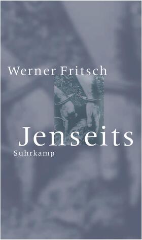 Fritsch |  Jenseits | Buch |  Sack Fachmedien