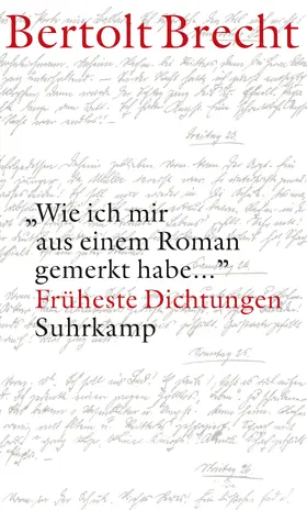 Brecht / Hillesheim |  'Wie ich mir aus einem Roman gemerkt habe...' | Buch |  Sack Fachmedien