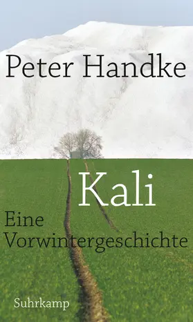 Handke |  Kali | Buch |  Sack Fachmedien