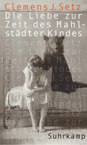 Setz |  Die Liebe zur Zeit des Mahlstädter Kindes | Buch |  Sack Fachmedien