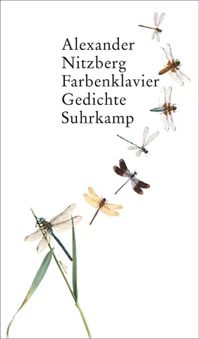 Nitzberg |  Farbenklavier | Buch |  Sack Fachmedien