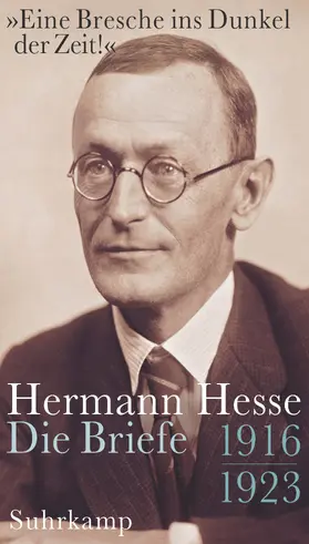 Hesse / Michels |  »Eine Bresche ins Dunkel der Zeit!« | Buch |  Sack Fachmedien