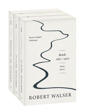 Walser / Stocker / Echte | Werke. Berner Ausgabe | Buch | 978-3-518-42845-0 | sack.de