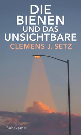 Setz |  Die Bienen und das Unsichtbare | Buch |  Sack Fachmedien