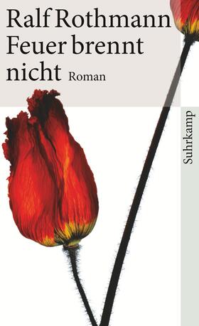 Rothmann |  Feuer brennt nicht | Buch |  Sack Fachmedien