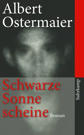 Ostermaier |  Schwarze Sonne scheine | Buch |  Sack Fachmedien