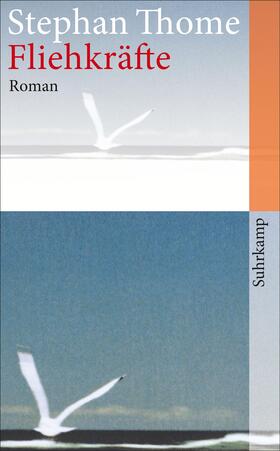 Thome |  Fliehkräfte | Buch |  Sack Fachmedien