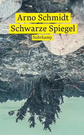 Schmidt |  Schwarze Spiegel | Buch |  Sack Fachmedien