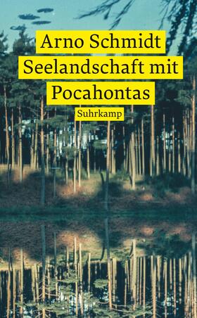 Schmidt |  Seelandschaft mit Pocahontas | Buch |  Sack Fachmedien