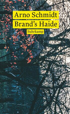 Schmidt |  Brand's Haide | Buch |  Sack Fachmedien