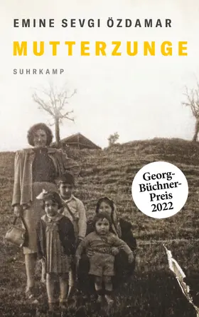 Özdamar |  Mutterzunge | Buch |  Sack Fachmedien