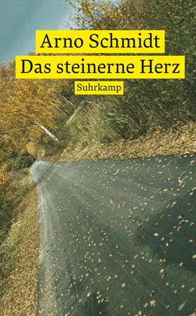 Schmidt |  Das steinerne Herz | Buch |  Sack Fachmedien