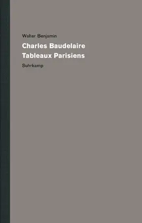 Benjamin / Birnbaum / Métayer |  Werke und Nachlaß. Kritische Gesamtausgabe | Buch |  Sack Fachmedien