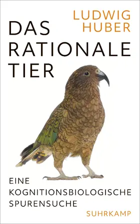 Huber |  Das rationale Tier | Buch |  Sack Fachmedien