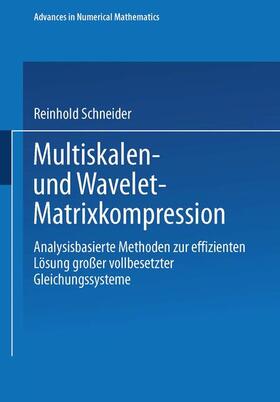  Multiskalen- und Wavelet-Matrixkompression | Buch |  Sack Fachmedien