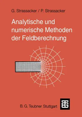 Strassacker |  Analytische und numerische Methoden der Feldberechnung | Buch |  Sack Fachmedien