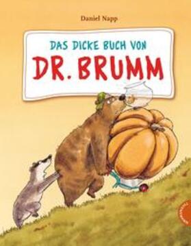 Napp |  Das dicke Buch von Dr. Brumm | Buch |  Sack Fachmedien
