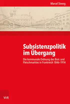 Streng |  Subsistenzpolitik im Übergang | Buch |  Sack Fachmedien