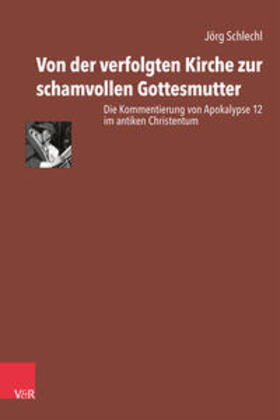 Schlechl / Siquans / Karmann |  Von der verfolgten Kirche zur schamvollen Gottesmutter | Buch |  Sack Fachmedien