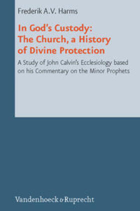 Harms |  In God's Custody: The Church, a History of Divine Protection | Buch |  Sack Fachmedien