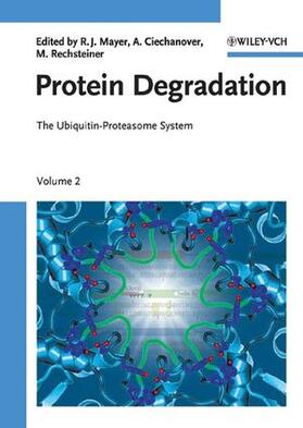 Mayer / Ciechanover / Rechsteiner |  Protein Degradation 2 | Buch |  Sack Fachmedien