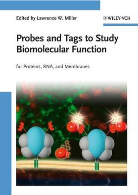 Miller |  Probes and Tags to Study Biomolecular Function | Buch |  Sack Fachmedien