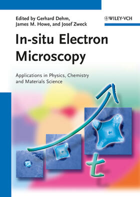 Dehm / Howe / Zweck |  In-situ Electron Microscopy | Buch |  Sack Fachmedien
