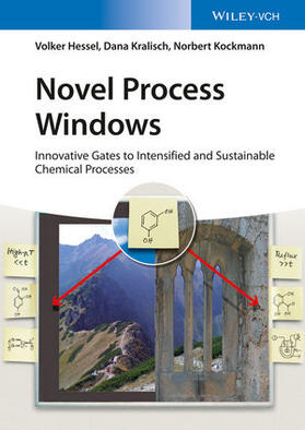 Hessel / Kralisch / Kockmann |  Novel Process Windows | Buch |  Sack Fachmedien