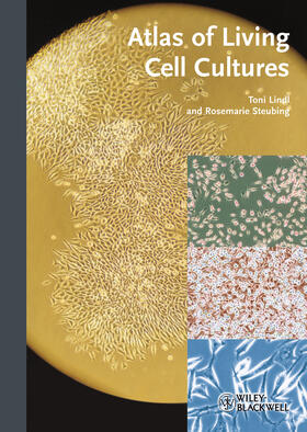 Lindl / Steubing |  Atlas of Living Cell Cultures | Buch |  Sack Fachmedien