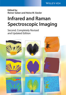 Salzer / Siesler |  Infrared and Raman Spectroscopic Imaging | Buch |  Sack Fachmedien