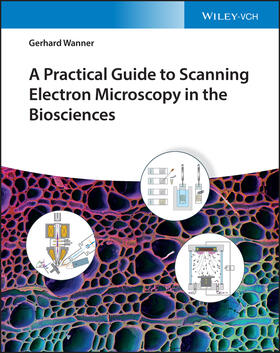 Wanner |  A Practical Guide to Scanning Electron Microscopy in the Biosciences | Buch |  Sack Fachmedien