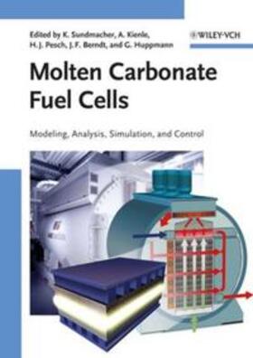Sundmacher / Kienle / Pesch |  Molten Carbonate Fuel Cells | eBook | Sack Fachmedien