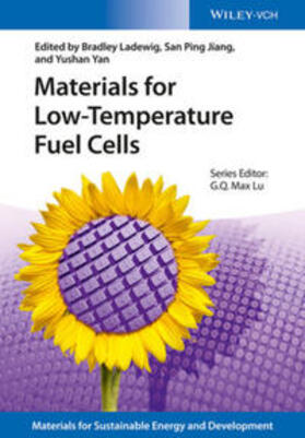 Ladewig / Jiang / Yan |  Materials for Low-Temperature Fuel Cells | eBook | Sack Fachmedien