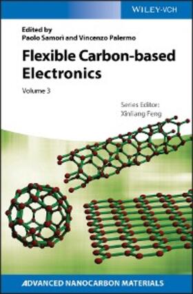 Samori / Palermo |  Flexible Carbon-based Electronics | eBook | Sack Fachmedien