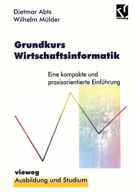 Abts |  Grundkurs Wirtschaftsinformatik | Buch |  Sack Fachmedien