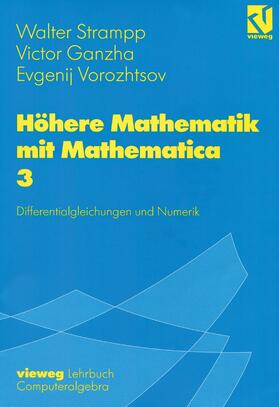 Strampp / Vorozhtsov / Ganzha |  Höhere Mathematik mit Mathematica | Buch |  Sack Fachmedien