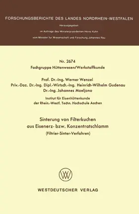 Wenzel |  Sinterung von Filterkuchen aus Eisenerz- bzw. Konzentratschlamm | Buch |  Sack Fachmedien