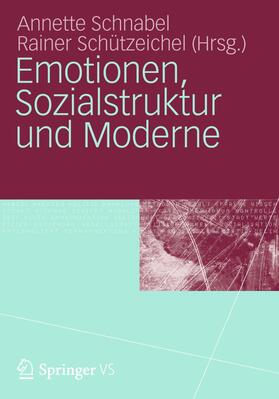 Schnabel / Schützeichel |  Emotionen, Sozialstruktur und Moderne | Buch |  Sack Fachmedien