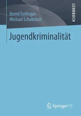 Schabdach / Dollinger | Jugendkriminalität | Buch | 978-3-531-17696-3 | sack.de